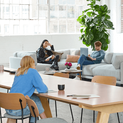 Services our services pic 1.png